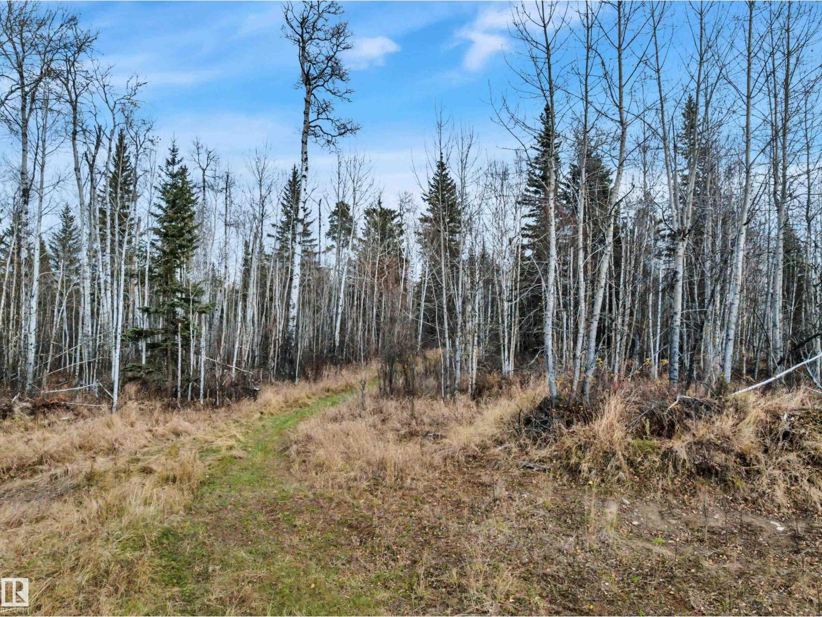 #3 12006 Twp Rd 533a, Rural Yellowhead — photo 23