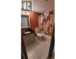 203 430 5th Avenue N, Saskatoon, SK S7K6Z2 Photo 17