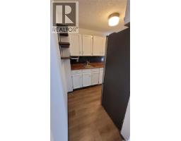 Storage - 203 430 5th Avenue N, Saskatoon, SK S7K6Z2 Photo 8