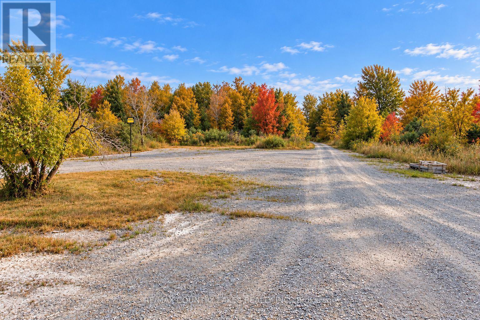 264 Mcguire Beach Road, Kawartha Lakes, ON photo 47