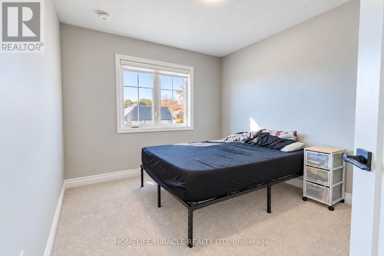 60 Lark Street, Tillsonburg, ON photo 23