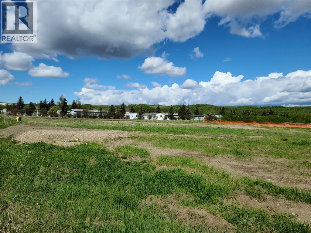 8016 97 Avenue, Peace River — photo 3