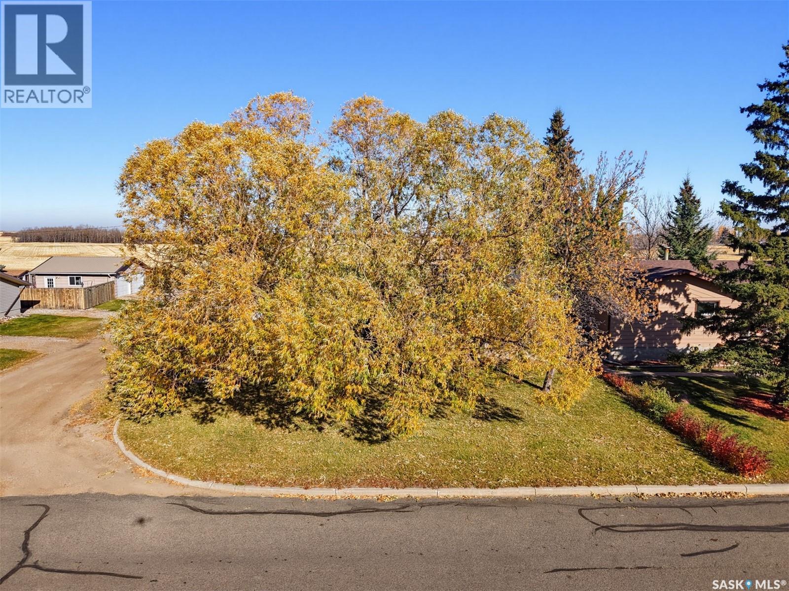 214 8th AVENUE W, Watrous — photo 31