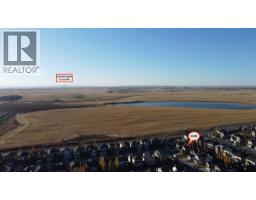 264 Willowmere Way, Chestermere, AB T1X0E1 Photo 46