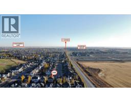 264 Willowmere Way, Chestermere, AB T1X0E1 Photo 47
