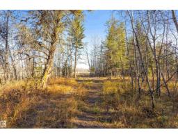 W4 Rr 23 Twp 59 Sec 15 Ne, Rural Thorhild County, AB T0A3J0 Photo 16