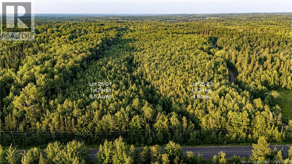 Lot 25-02 Route 490 photo 2