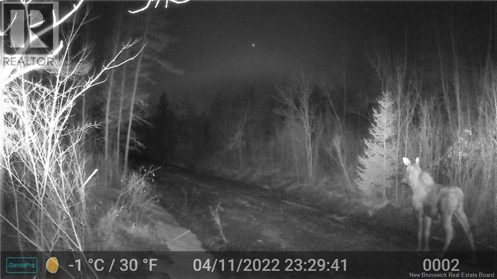 Lot 25-02 Route 490 photo 5