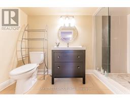 Lower - 149 Hendon Avenue, Toronto, ON M2M1A8 Photo 14