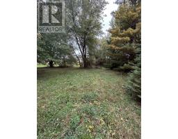 1256 County Road 22 Road, Lakeshore, ON N0R1C0 Photo 6