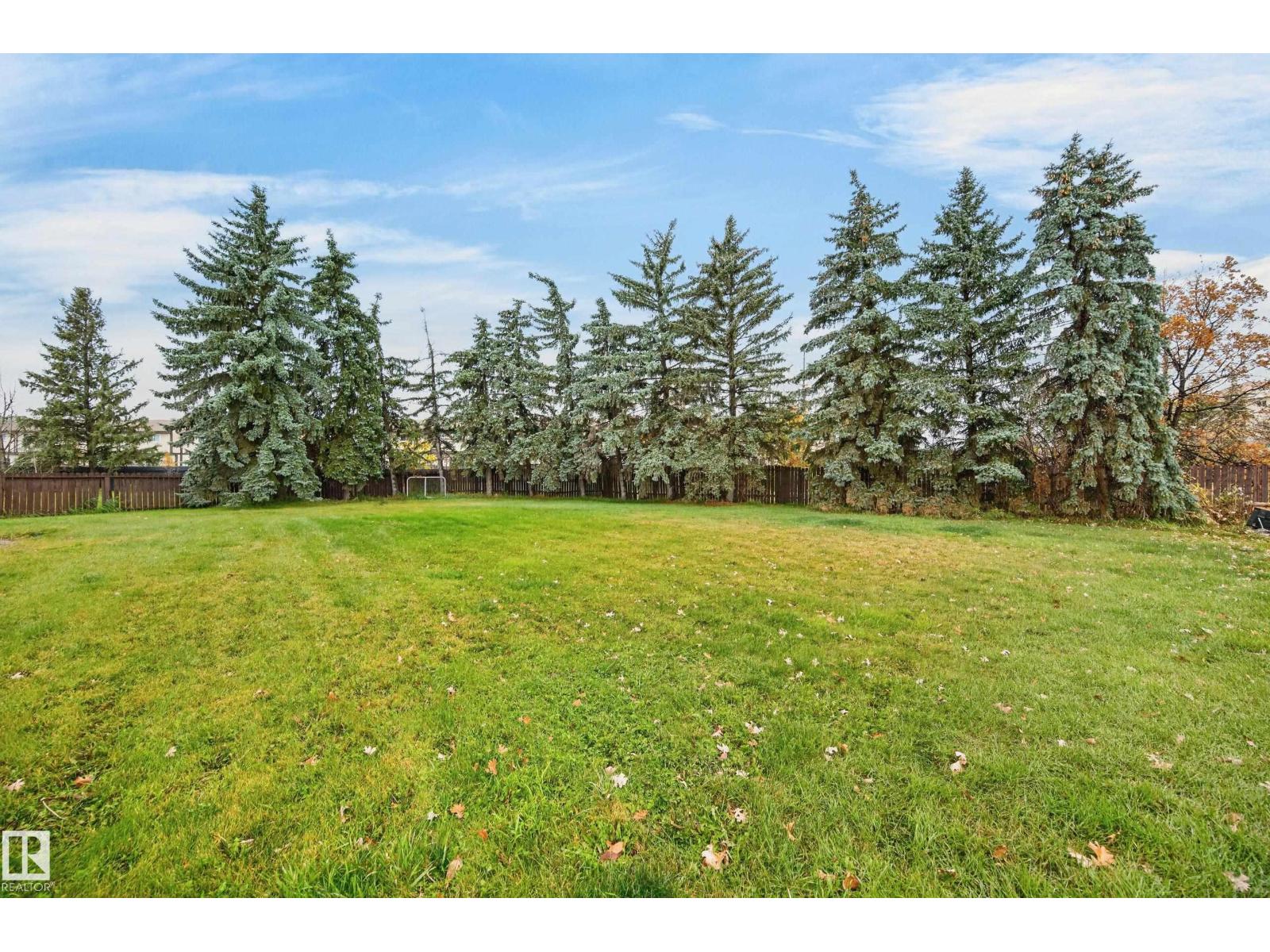17948 94 AV NW photo 3