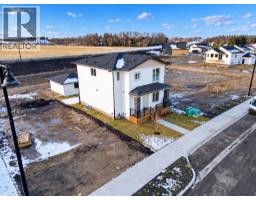 4352 61 Avenue, Innisfail, AB T4G0P3 Photo 48