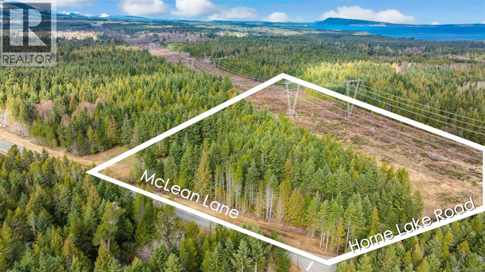 Lot 1 McLean photo 5