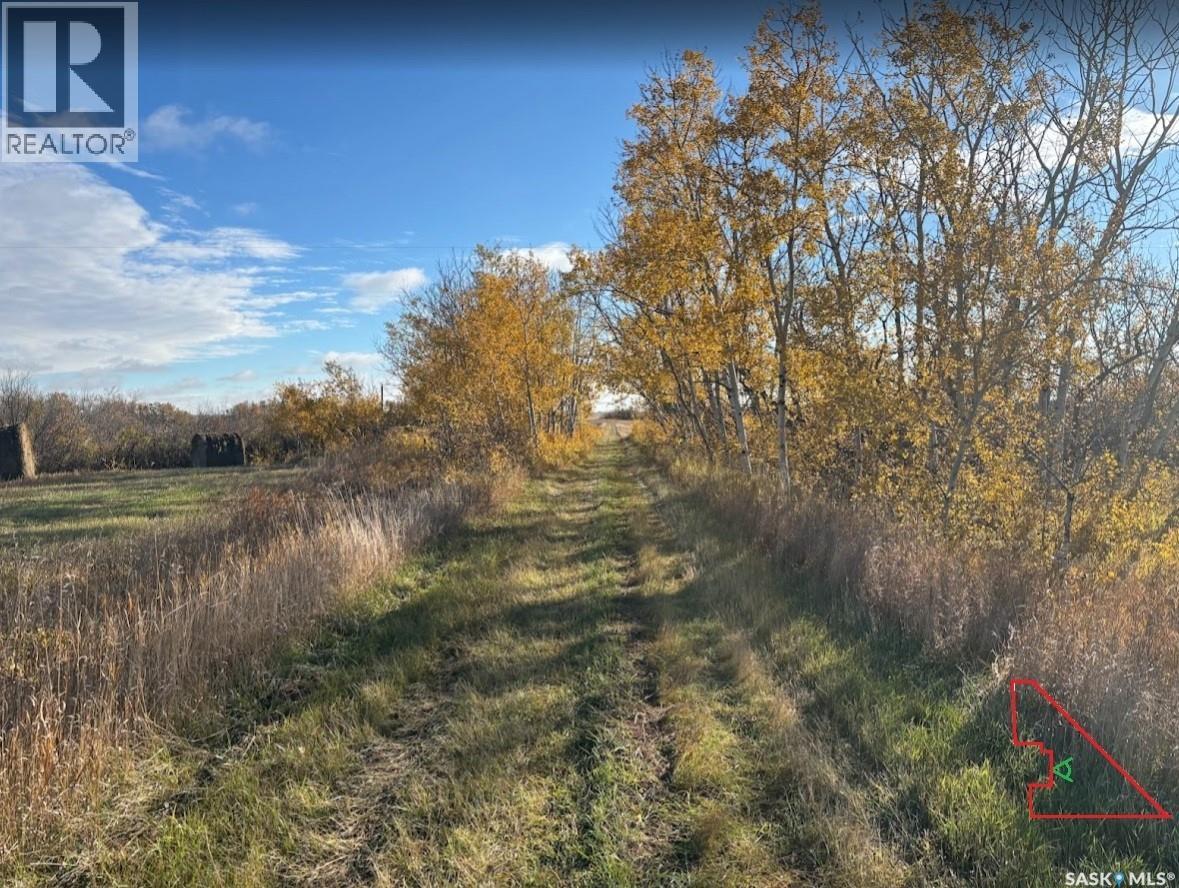 Payne Land, Rosedale Rm No. 283 — photo 7