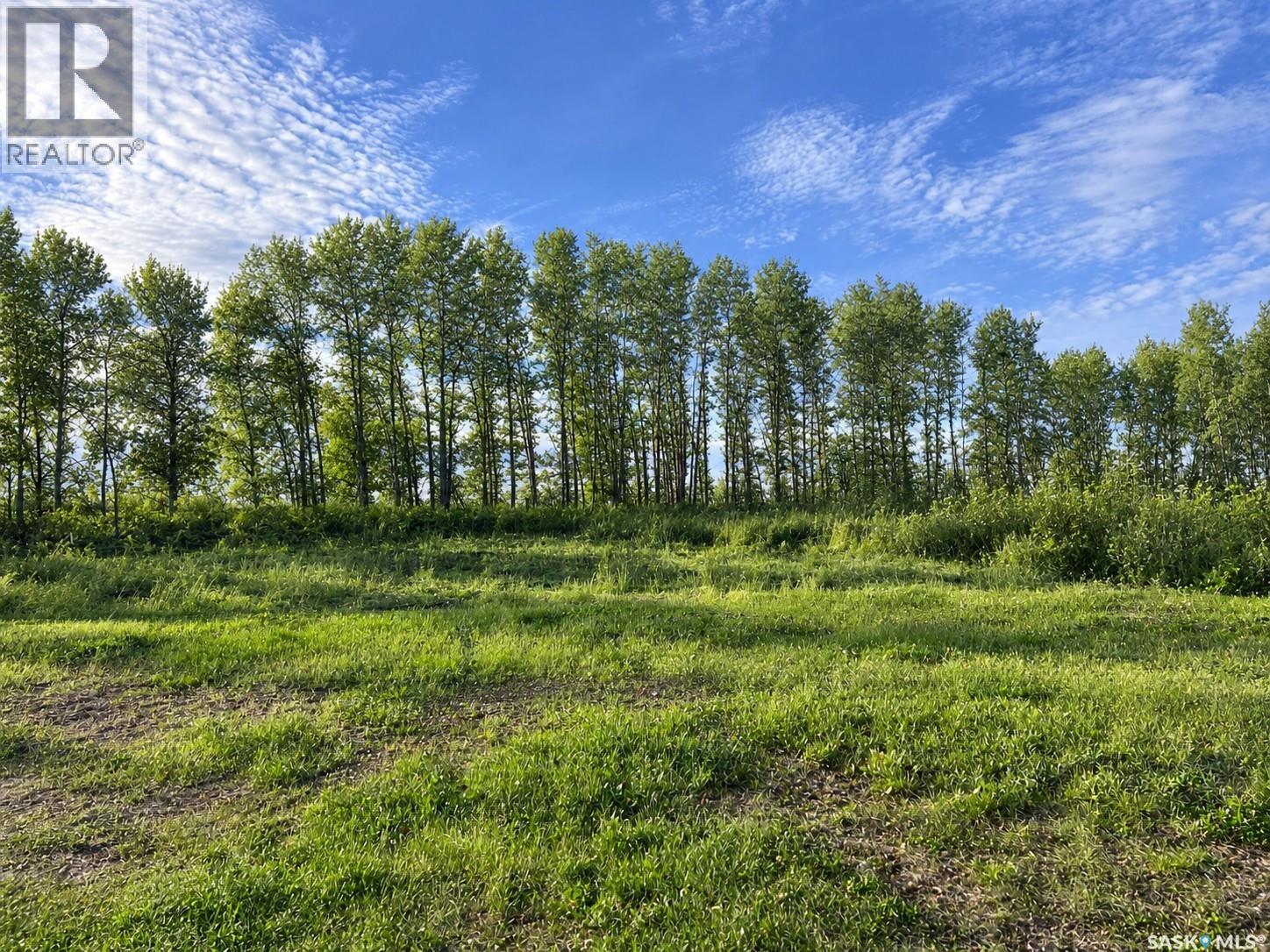BRIAR LEA ACREAGE, Shellbrook Rm No. 493 — photo 22