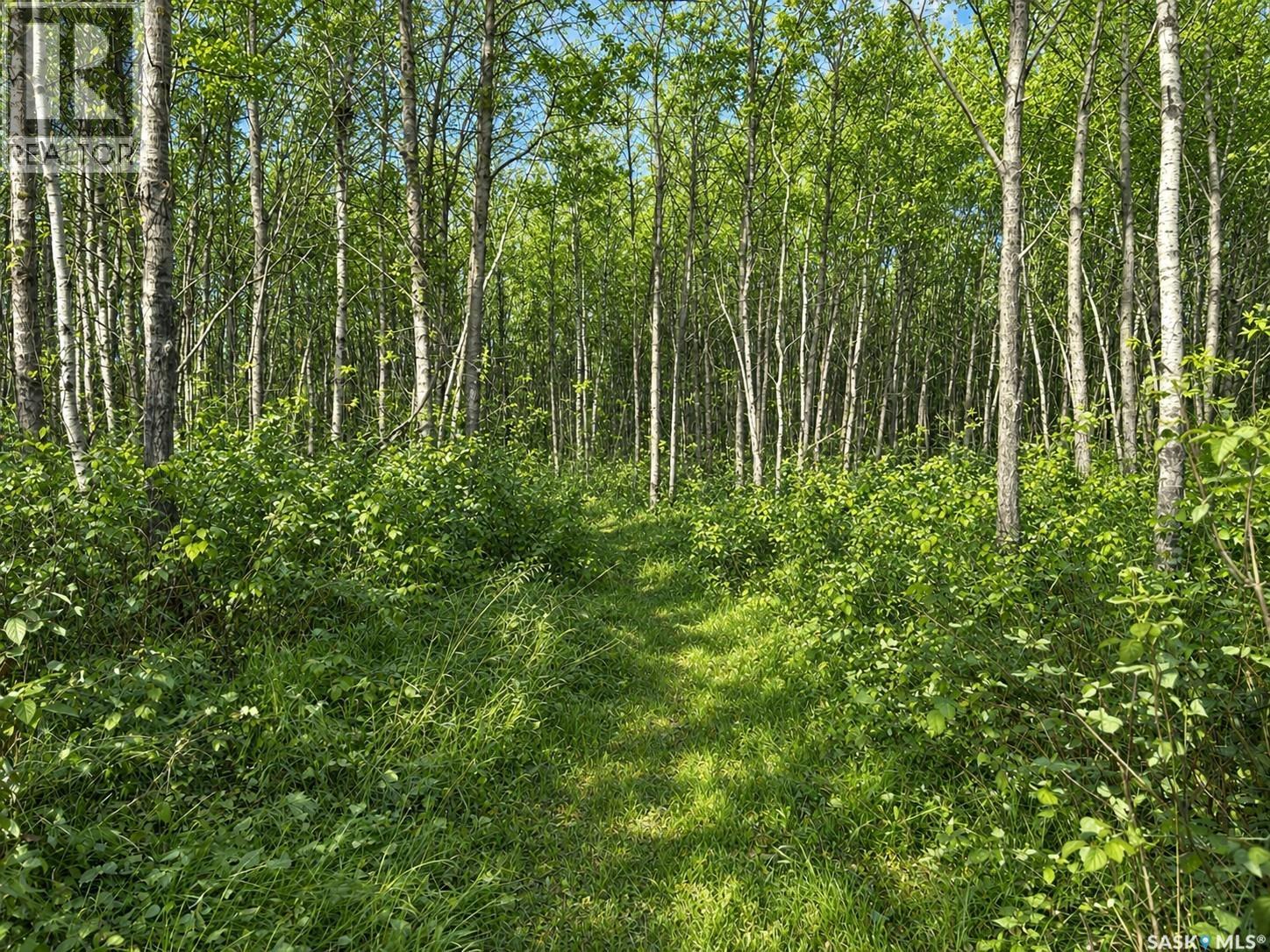 BRIAR LEA ACREAGE, Shellbrook Rm No. 493 — photo 26