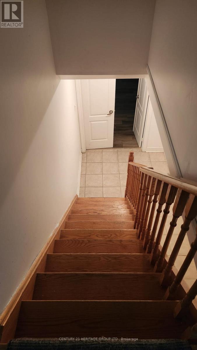 LOWER - 116 MARBELLA ROAD, Vaughan (Sonoma Heights) — photo 4