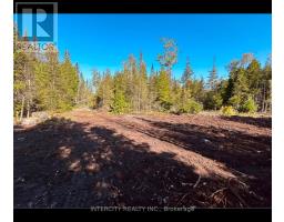 153 Bradley Drive, Northern Bruce Peninsula, ON N0H1Z0 Photo 11