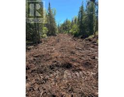 153 Bradley Drive, Northern Bruce Peninsula, ON N0H1Z0 Photo 9