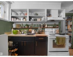 12407 96 St Nw, Edmonton, AB T5G1W6 Photo 25