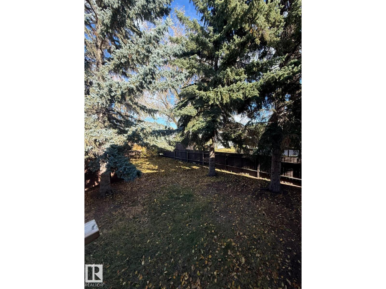 1923 56 ST NW, Edmonton — photo 8