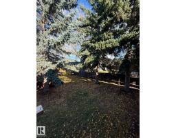 Bedroom 4 - 1923 56 St Nw, Edmonton, AB T6L1L6 Photo 8