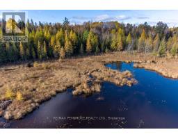 995 Schutt Road, Brudenell, Lyndoch And Raglan, ON K0J2E0 Photo 11