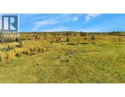 15048 Highway 611, Rural Ponoka County, AB T0C0M0 Photo 45