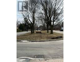 Bsmt 2 - 103 Almore Avenue, Toronto, ON M3H2H4 Photo 25