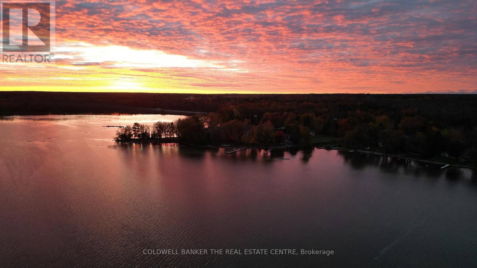 3919 TREELINE photo 2