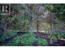 57 Turnbull Road, Dundas, ON L9H3W5 Photo 25