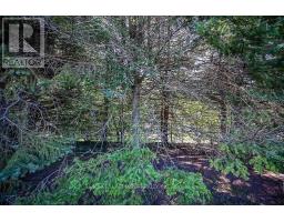 57 Turnbull Road, Hamilton, ON L9H3W5 Photo 25