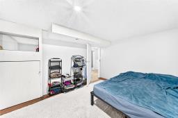 229 Dowling Avenue W, Winnipeg, MB R2C2K4 Photo 27