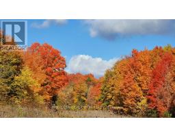 1172 Meadowlark Ridge, London South, ON N6M0H3 Photo 25