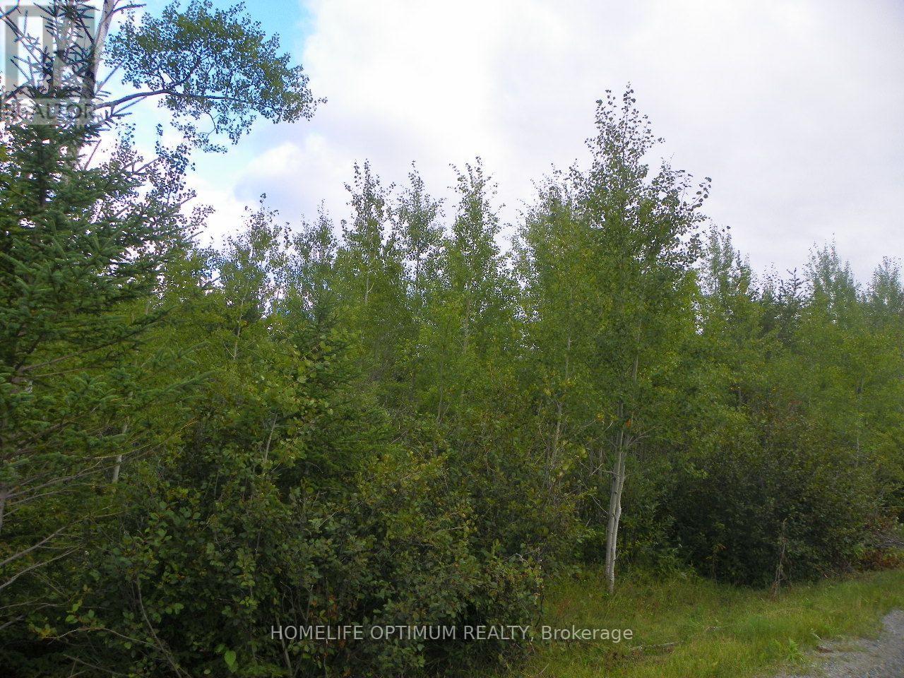 Blue Jay Road, Black River-Matheson, ON photo 1