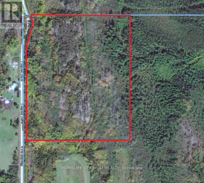 Blue Jay Road, Black River-Matheson, ON photo 10