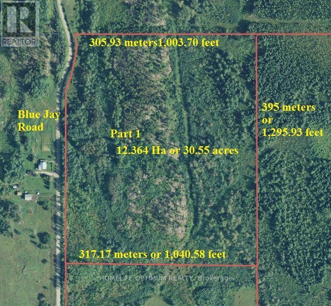 Blue Jay Road, Black River-Matheson, ON photo 12