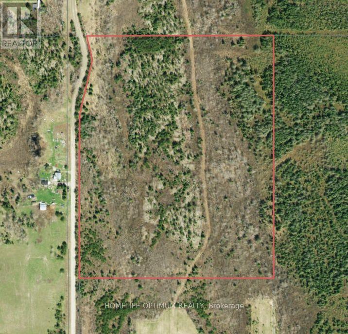 Blue Jay Road, Black River-Matheson, ON photo 13
