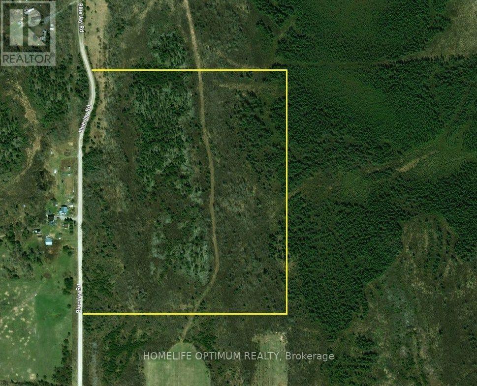 Blue Jay Road, Black River-Matheson, ON photo 14
