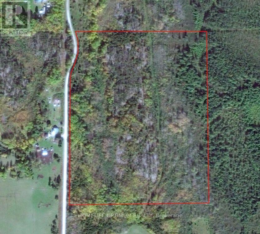 Blue Jay Road, Black River-Matheson, ON photo 15