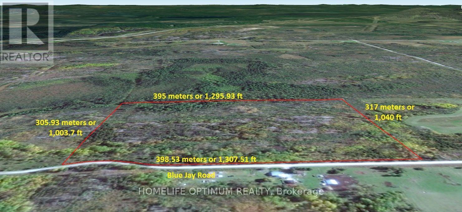 Blue Jay Road, Black River-Matheson, ON photo 16