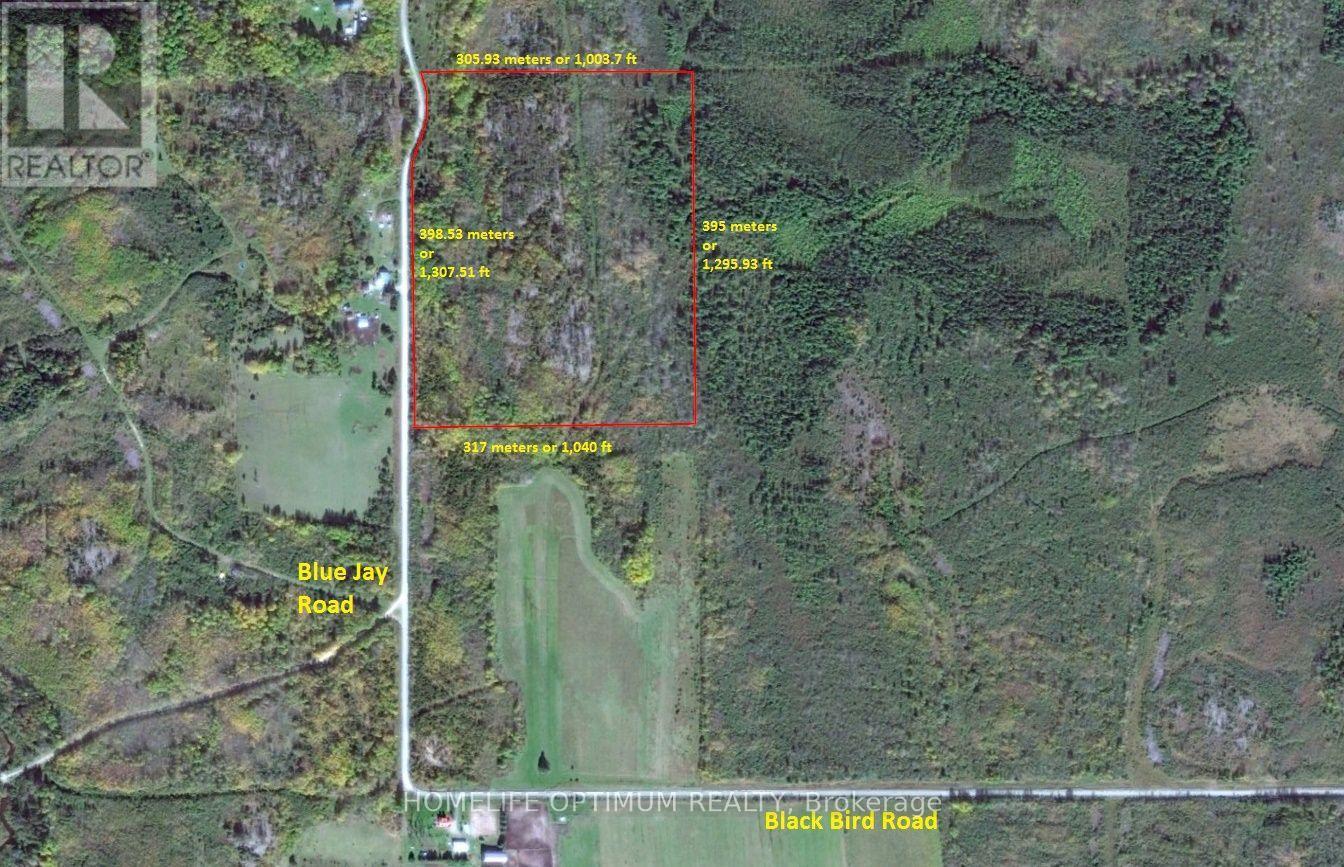 Blue Jay Road, Black River-Matheson, ON photo 17