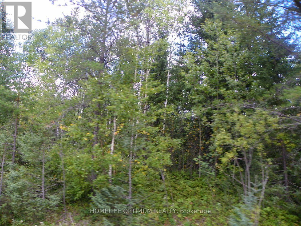 Blue Jay Road, Black River-Matheson, ON photo 2