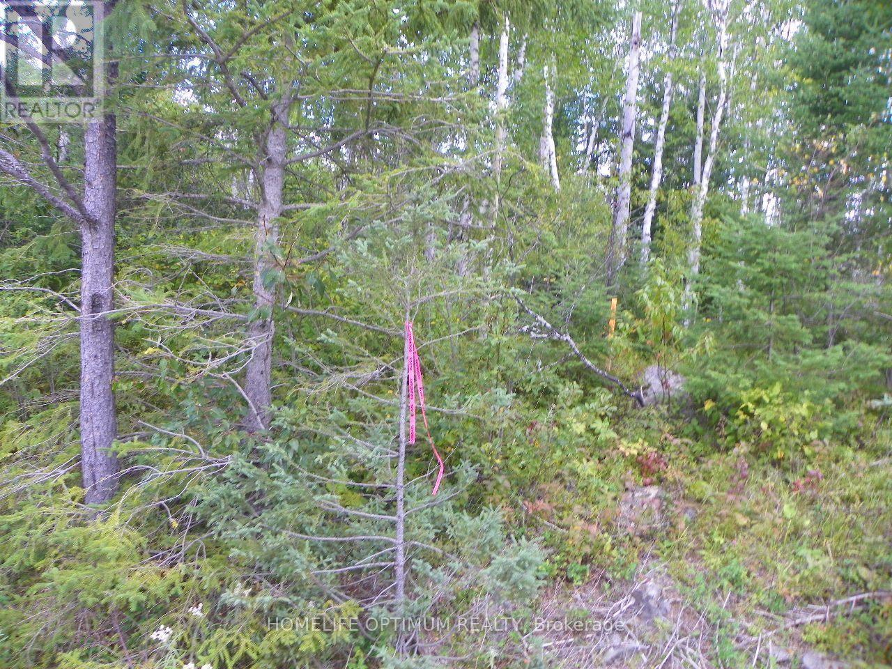 Blue Jay Road, Black River-Matheson, ON photo 3