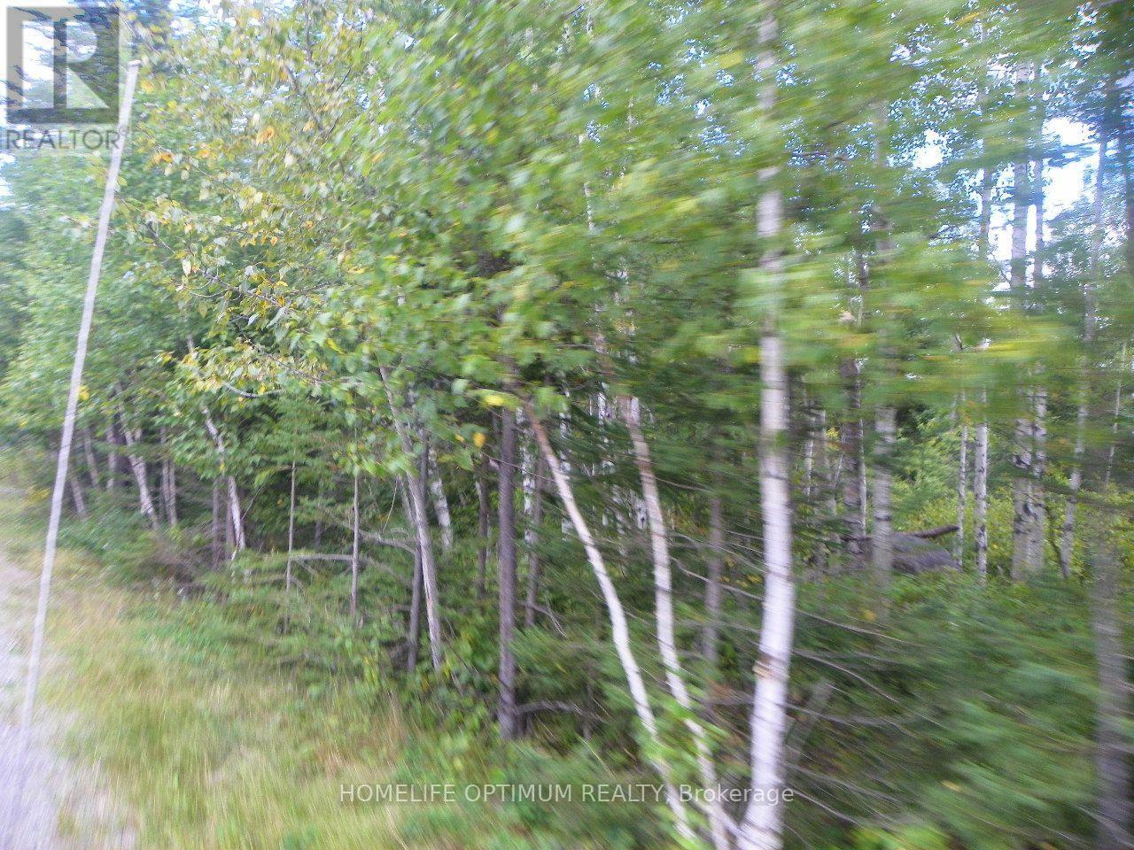 Blue Jay Road, Black River-Matheson, ON photo 4