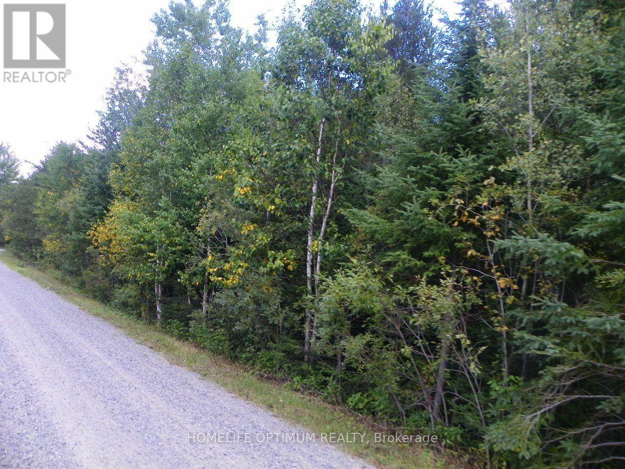 Blue Jay Road, Black River-Matheson, ON photo 5