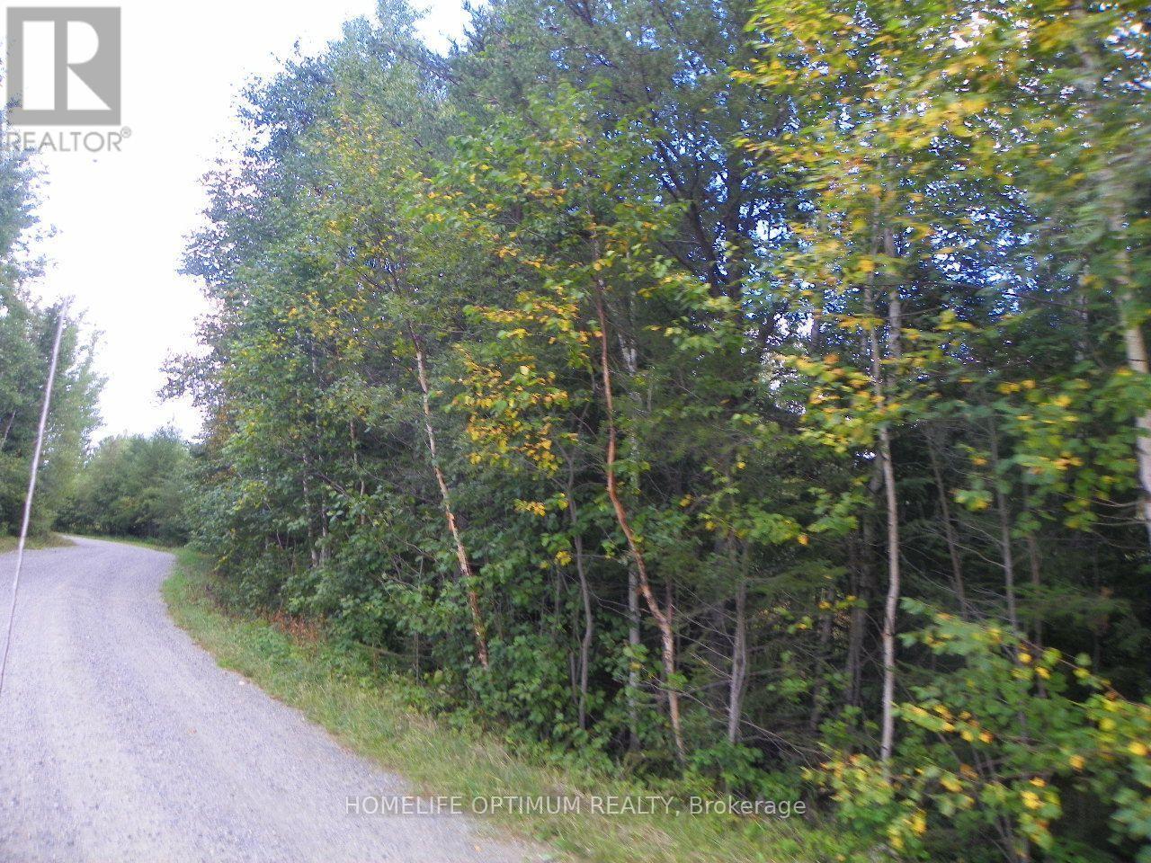 Blue Jay Road, Black River-Matheson, ON photo 6