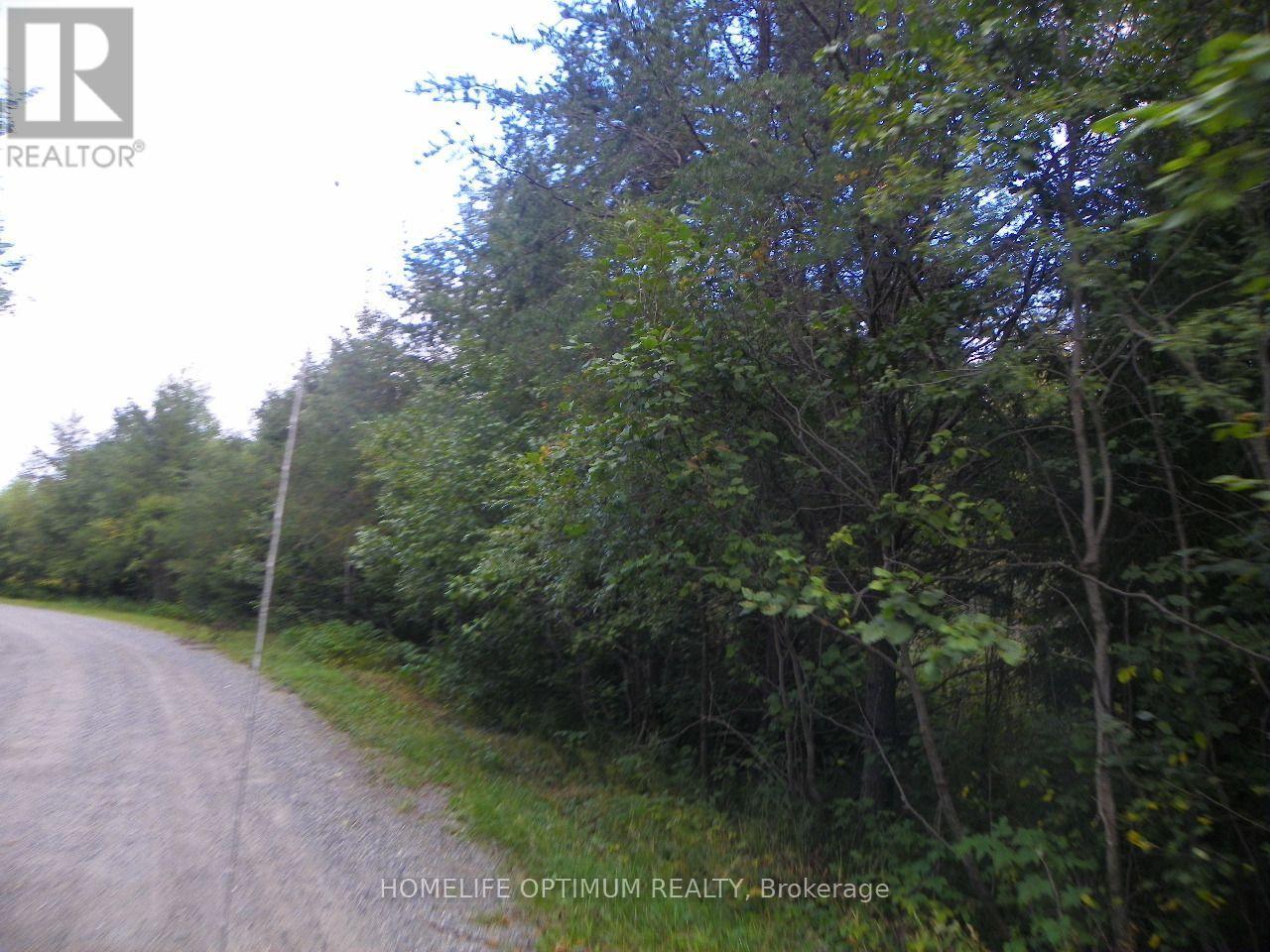 Blue Jay Road, Black River-Matheson, ON photo 7