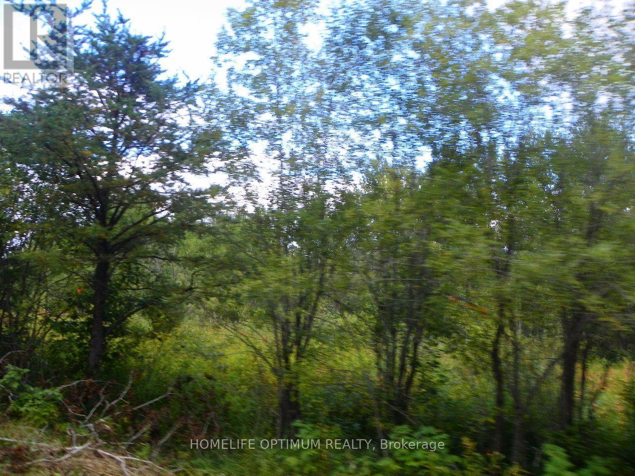 Blue Jay Road, Black River-Matheson, ON photo 8