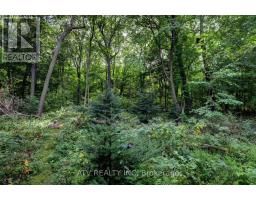 235 St  Mark's Road, Toronto, ON M6S2J1 Photo 39